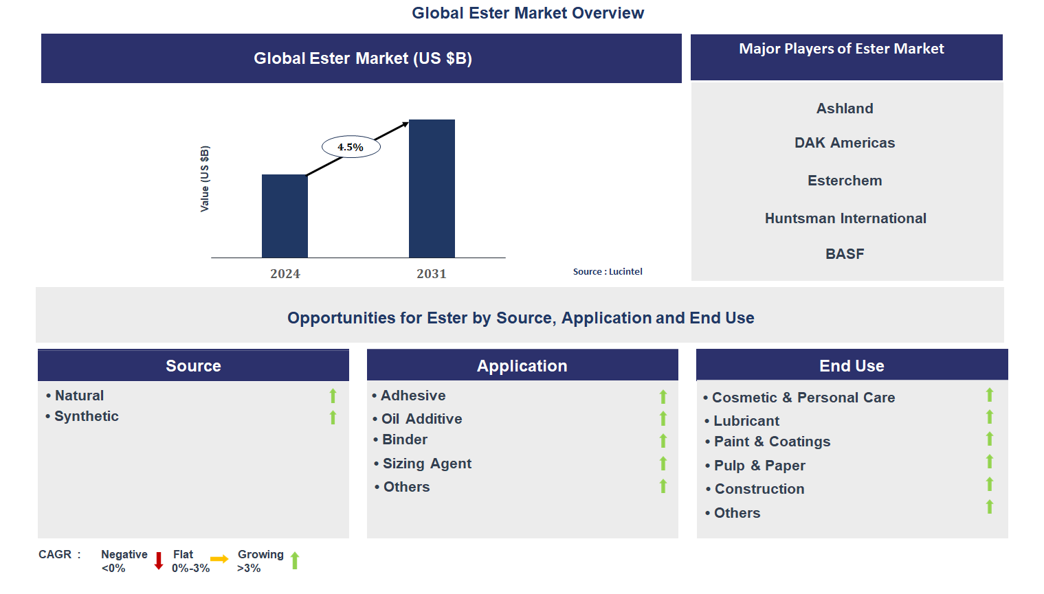 Ester Market Trends and Forecast
