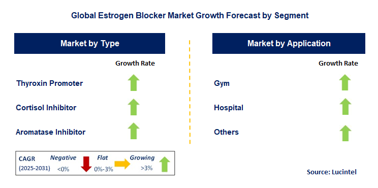 Estrogen Blocker Market by Segment