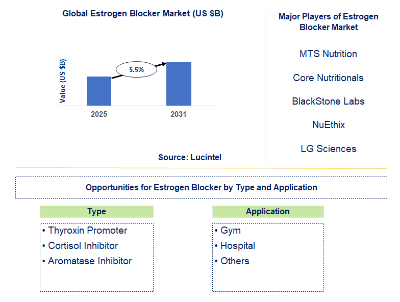 Estrogen Blocker Market Trends and Forecast