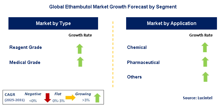 Ethambutol Market by Segment