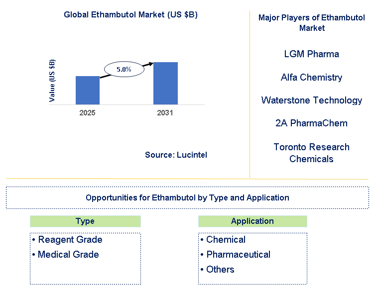 Ethambutol Market Trends and Forecast