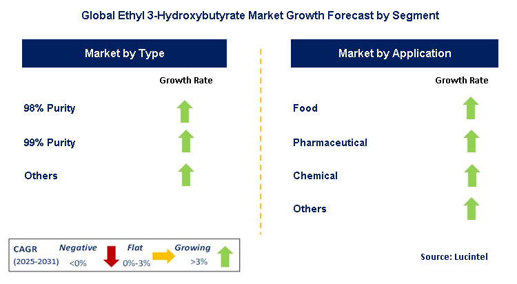 Ethyl 3-Hydroxybutyrate Market by Segment