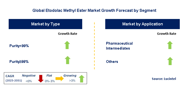 Etodolac Methyl Ester Market by Segment