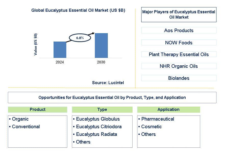 Eucalyptus Essential Oil Trends and Forecast