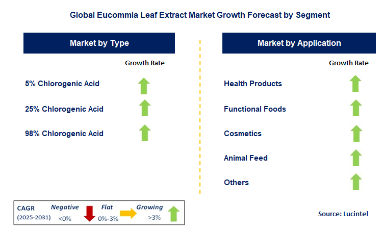 Eucommia Leaf Extract Market by Segment