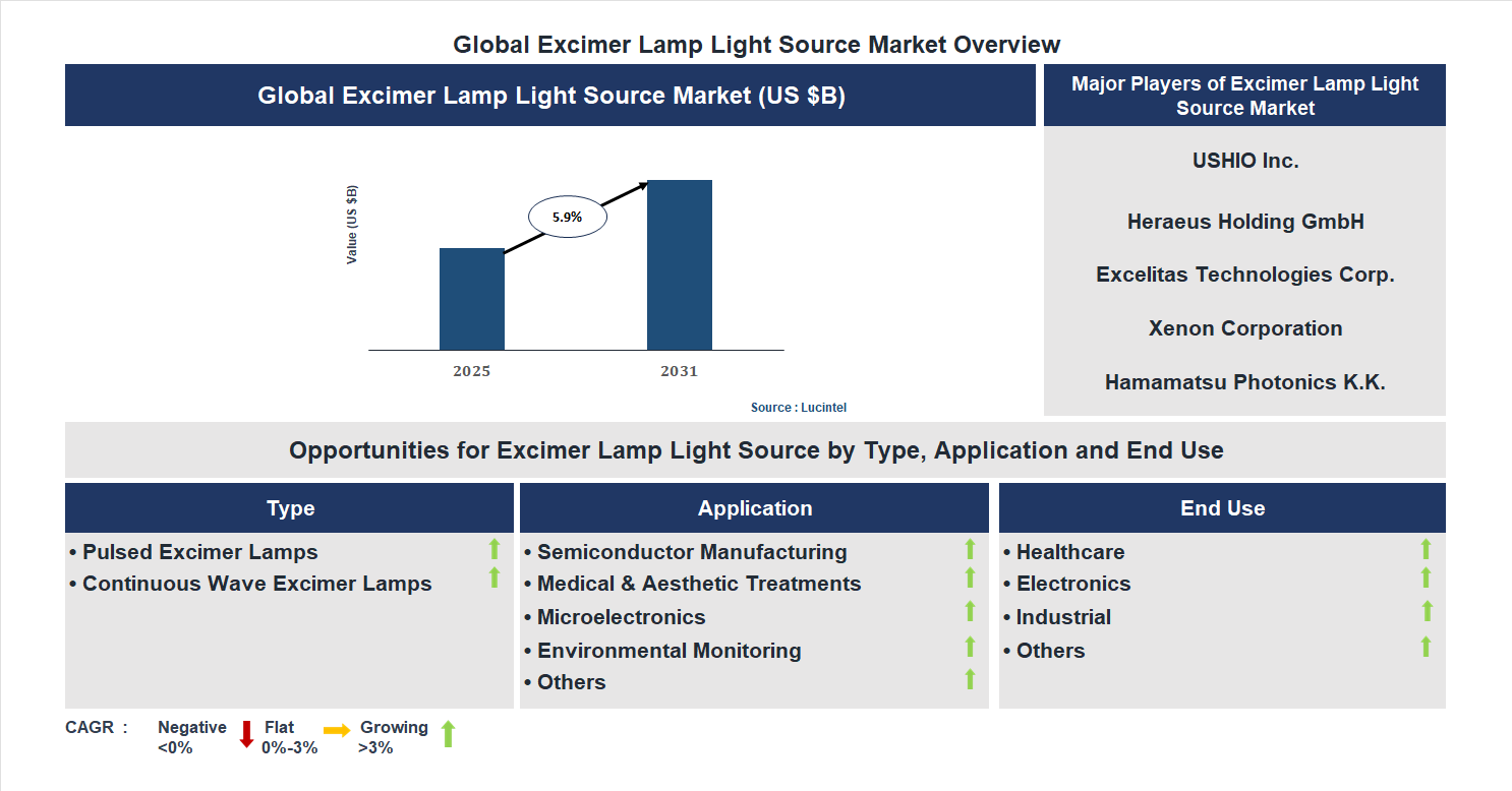 Excimer Lamp Light Source Market Trends and Forecast
