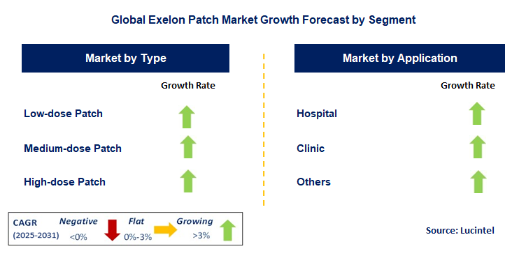Exelon Patch Market by Segment
