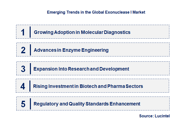Emerging Trends in the Exonuclease I Market