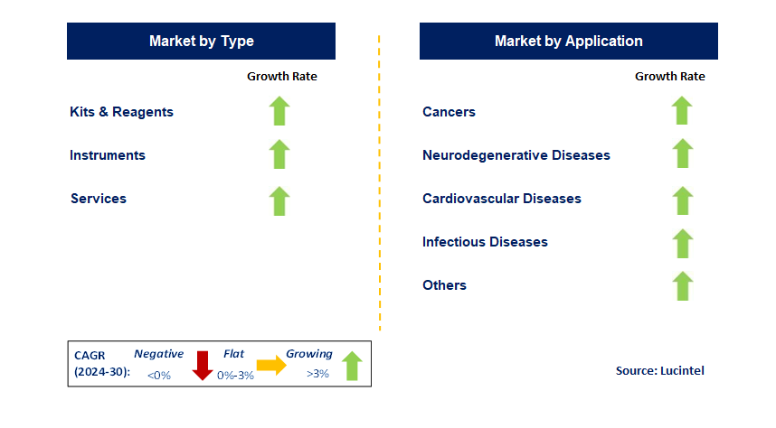 Exosome Rapid Molecular Detection by Segment