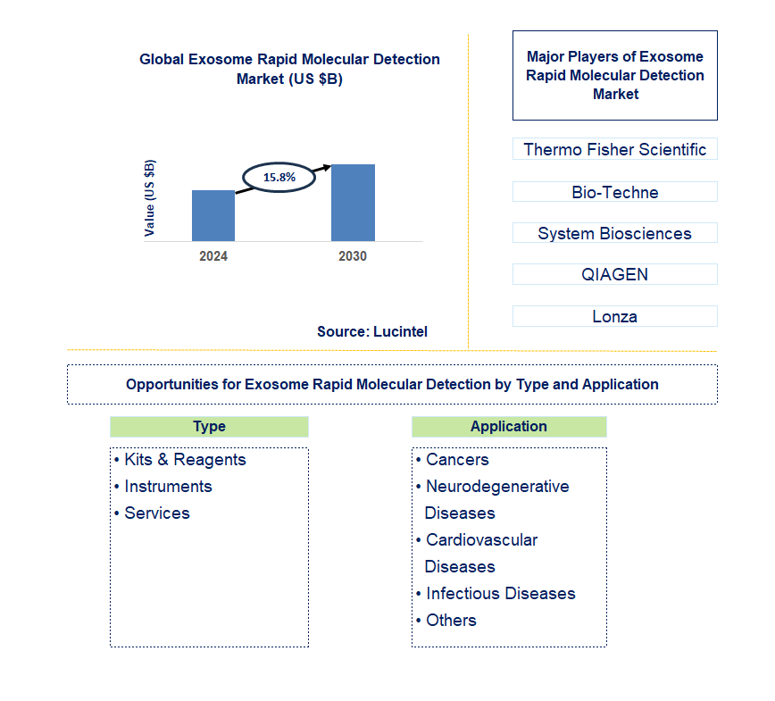 Exosome Rapid Molecular Detection Trends and Forecast