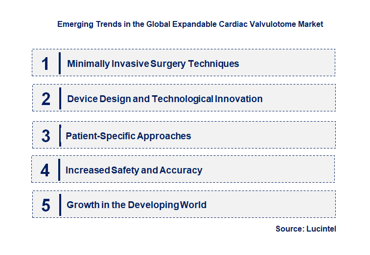 Emerging Trends in the Expandable Cardiac Valvulotome Market