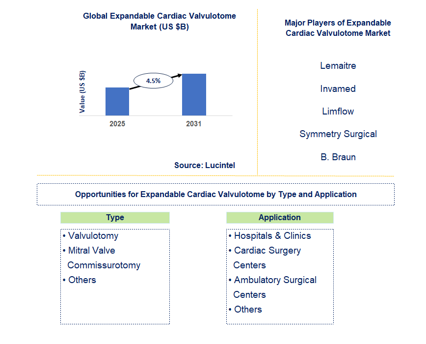 Expandable Cardiac Valvulotome Market Trends and Forecast
