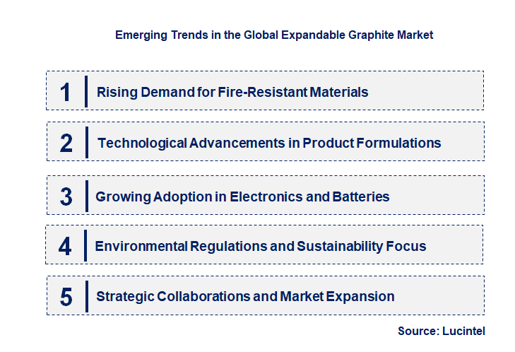 Emerging Trends in the Expandable Graphite Market