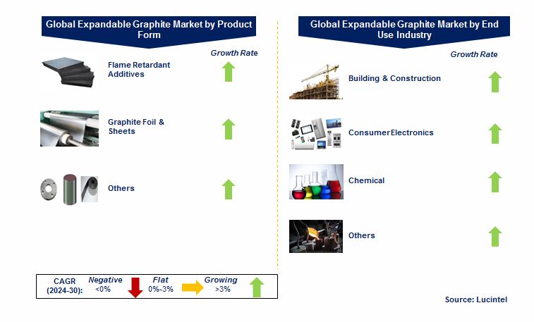 Expandable Graphite Market by Segments