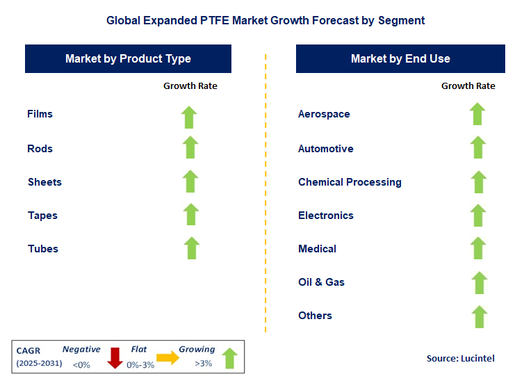 Expanded PTFE Market by Segment