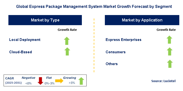 Express Package Management System Market by Segment