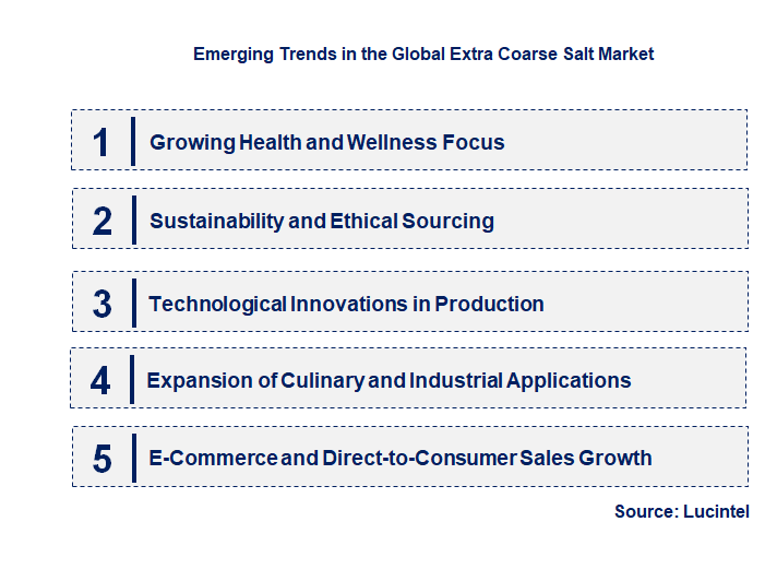 Emerging Trends in the Extra Coarse Salt Market