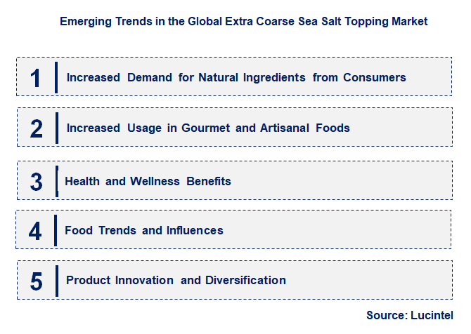 Emerging Trends in the Extra Coarse Sea Salt Topping Market