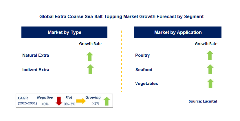 Extra Coarse Sea Salt Topping Market by Segment