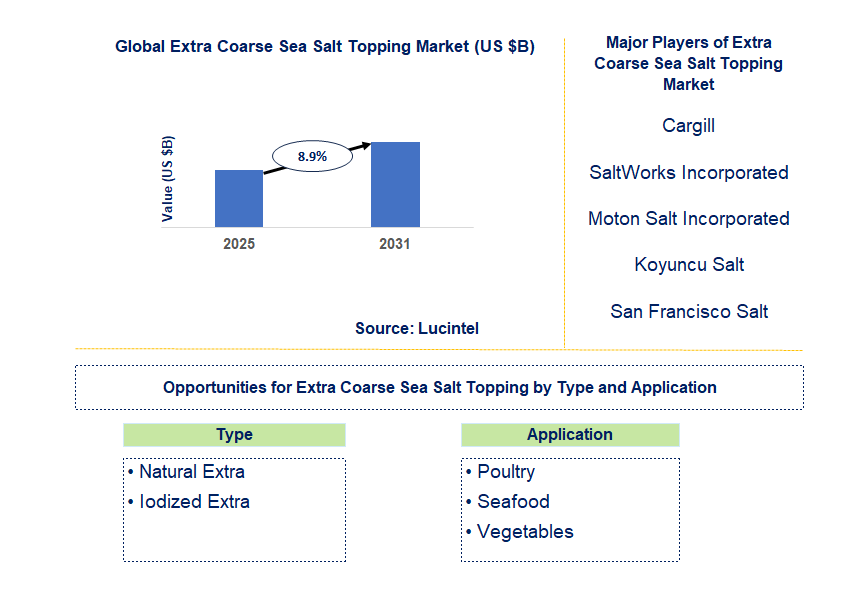 Extra Coarse Sea Salt Topping Market Trends and Forecast