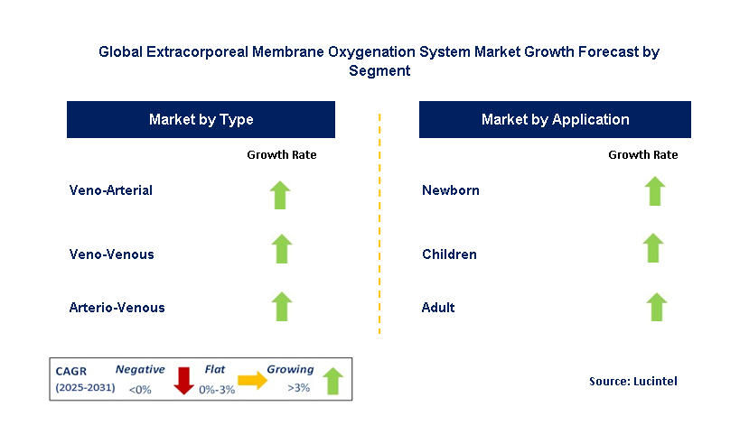 Extracorporeal Membrane Oxygenation System Market by Segment