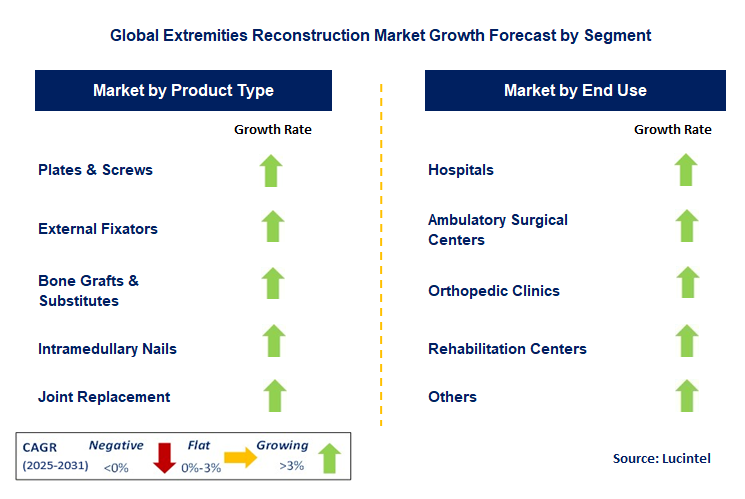 Extremities Reconstruction Market by Segment