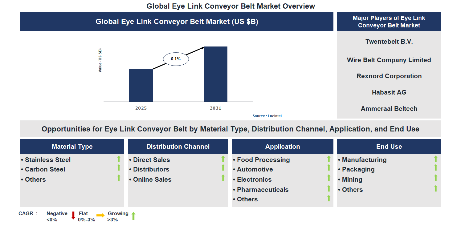 Eye Link Conveyor Belt Market Trends and Forecast