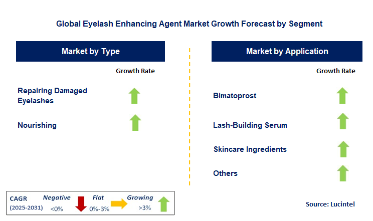 Eyelash Enhancing Agent Market by Segment