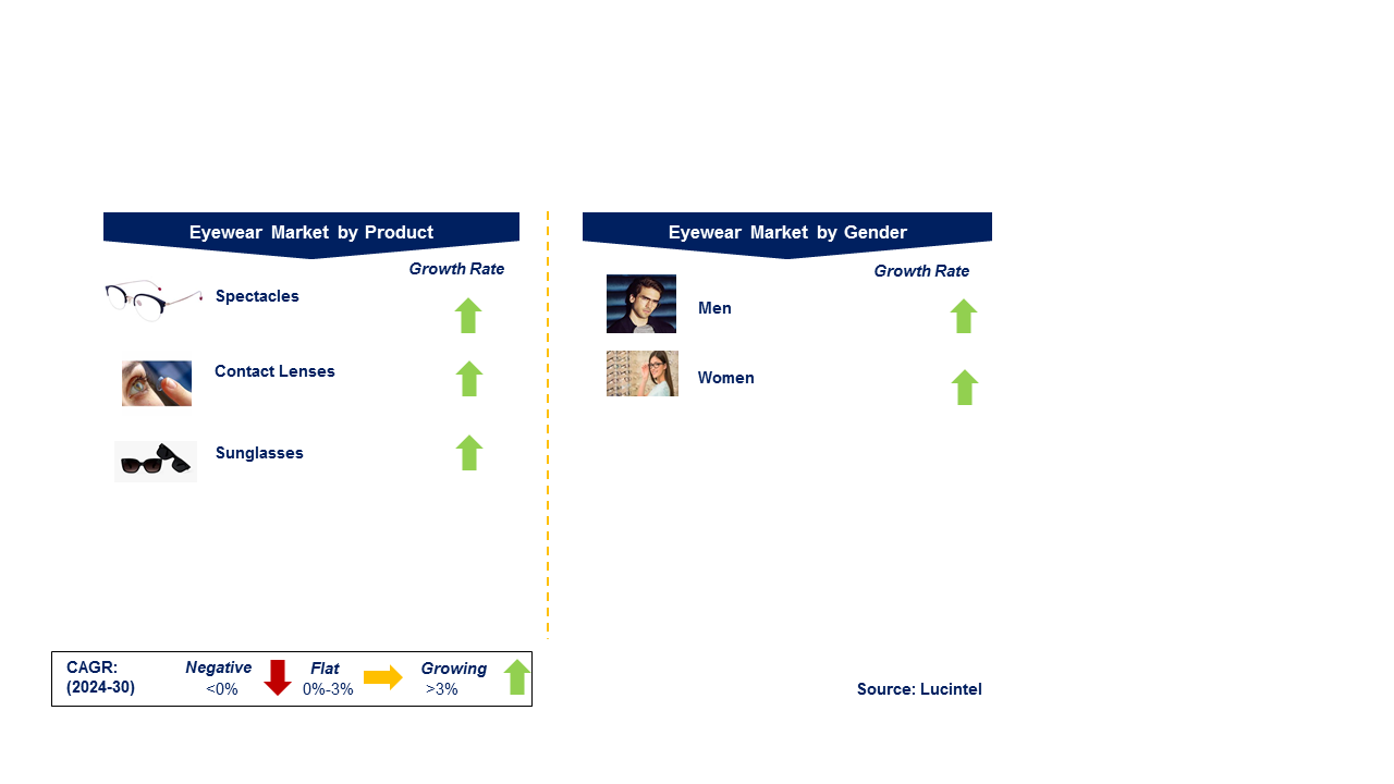 Eyewear Market by Segments