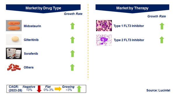FLT3 Inhibitor Market by Segments