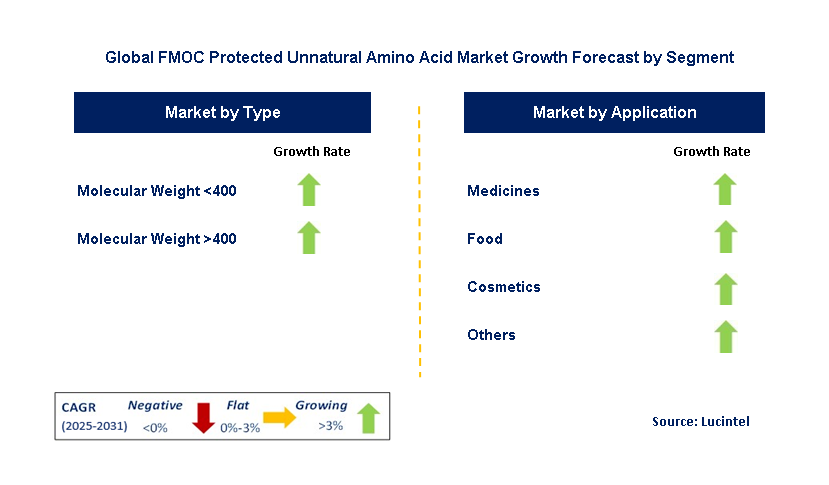 FMOC Protected Unnatural Amino Acid Market by Segment