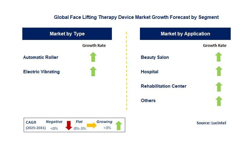 Face Lifting Therapy Device Market by Segment