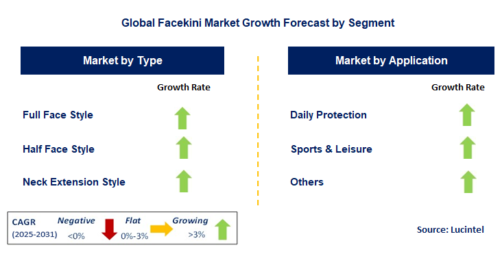 Facekini Market by Segment