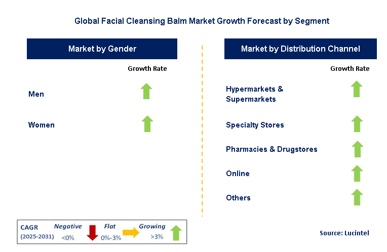 Facial Cleansing Balm Market by Segment
