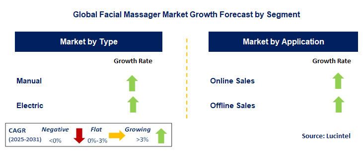 Facial Massager Market by Segment