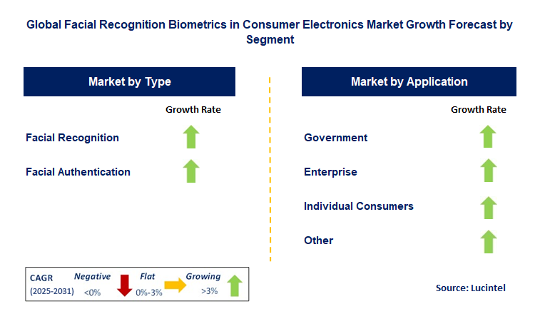 Facial Recognition Biometrics in Consumer Electronics Market by Segment