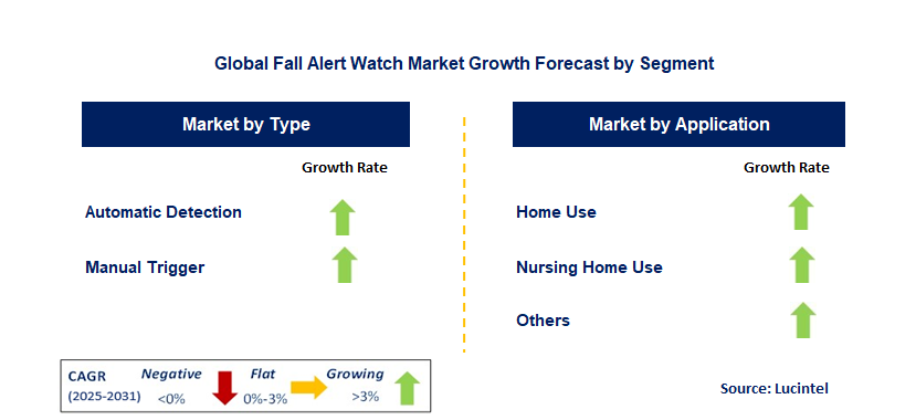 Fall Alert Watch Market by Segment