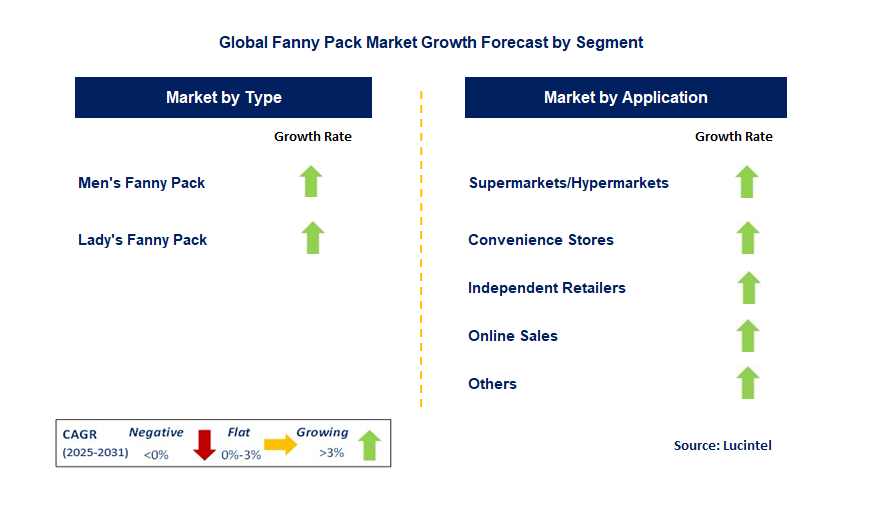 Fanny Pack Market by Segment