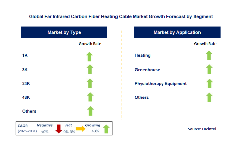 Far Infrared Carbon Fiber Heating Cable Market by Segment