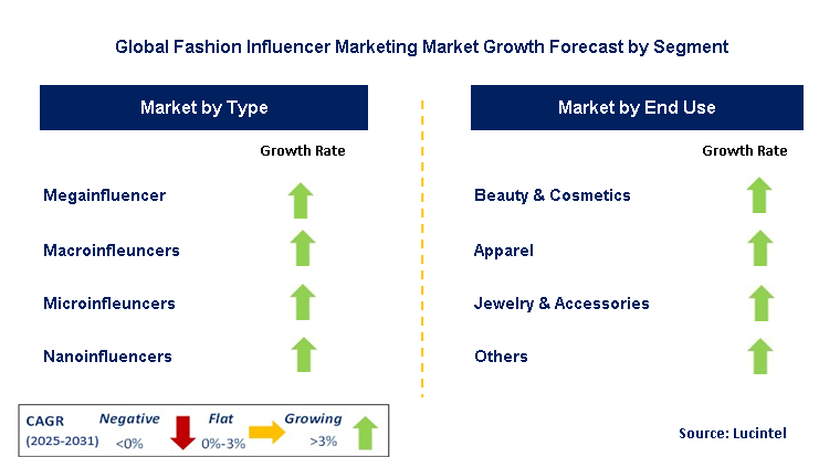 Fashion Influencering Market by Segment