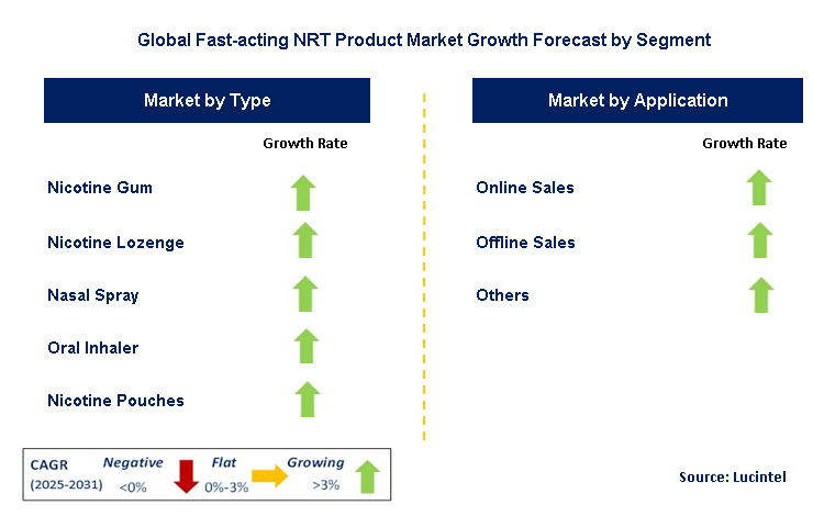 Fast-acting NRT Product Market by Segment