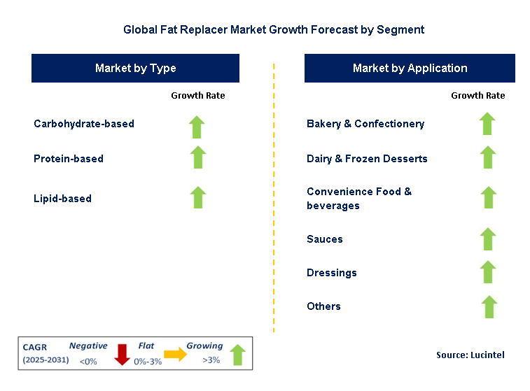 Fat Replacer Market by Segment