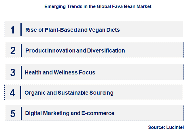 Emerging Trends in the Fava Bean Market