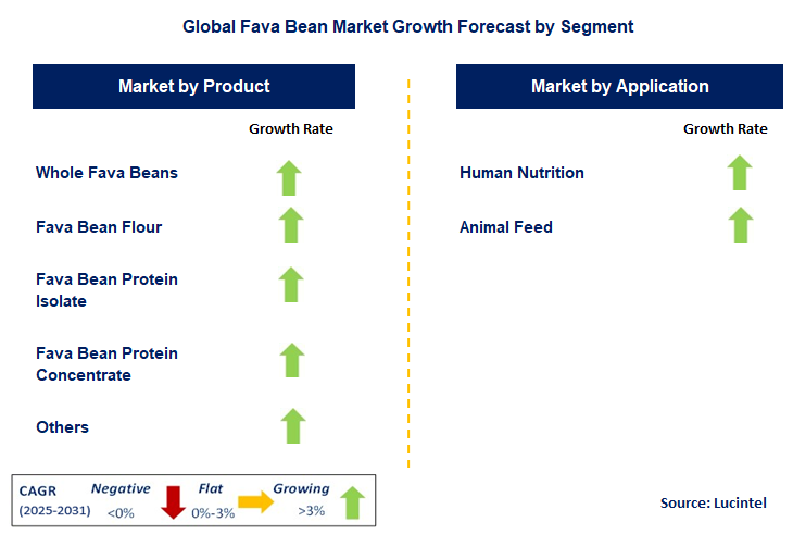 Fava Bean Market by Segment