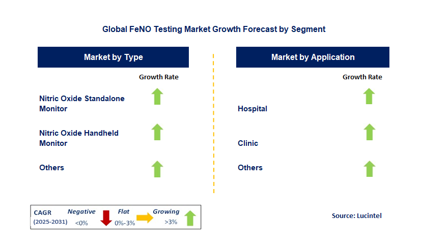 FeNO Testing Market by Segment
