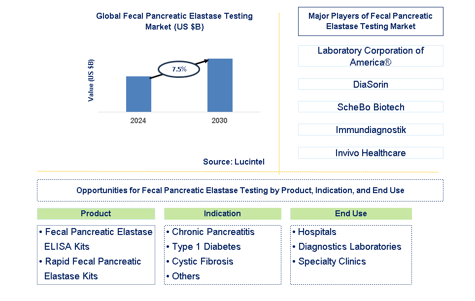 Fecal Pancreatic Elastase Testing Trends and Forecast