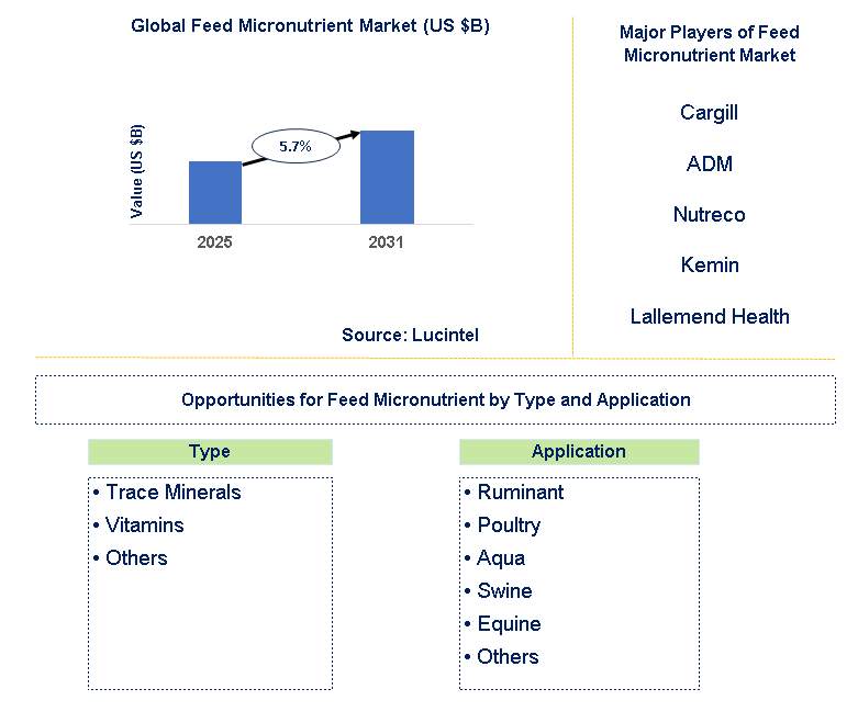 Feed Micronutrient Market Trends and Forecast