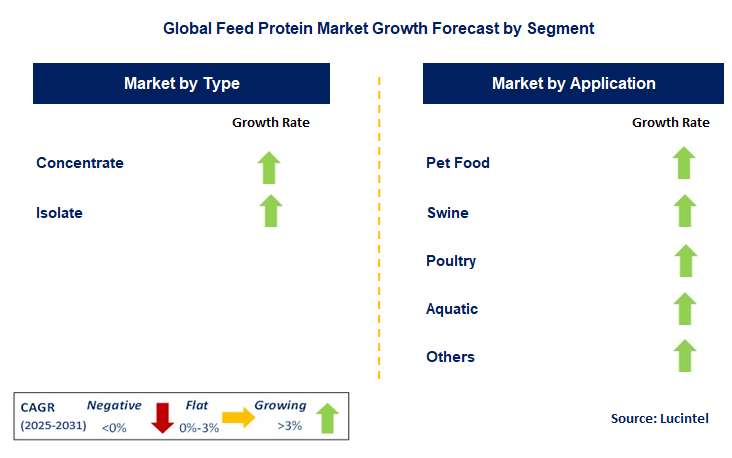 Feed Protein Market by Segment