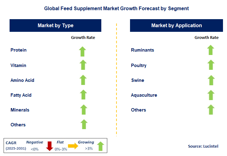 Feed Supplement Market by Segment