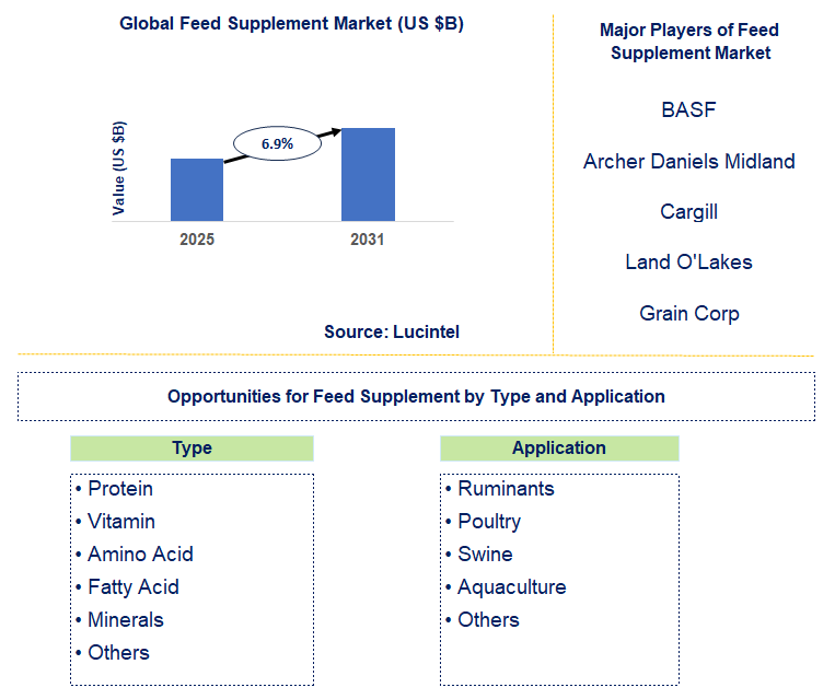 Feed Supplement Market Trends and Forecast